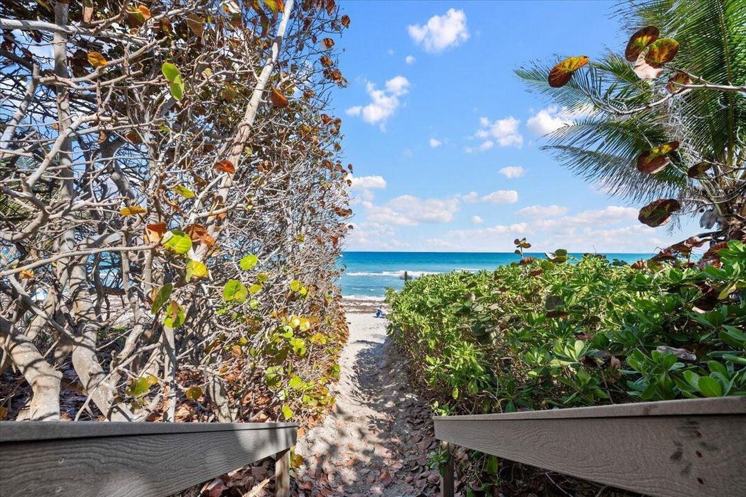 Beach Access