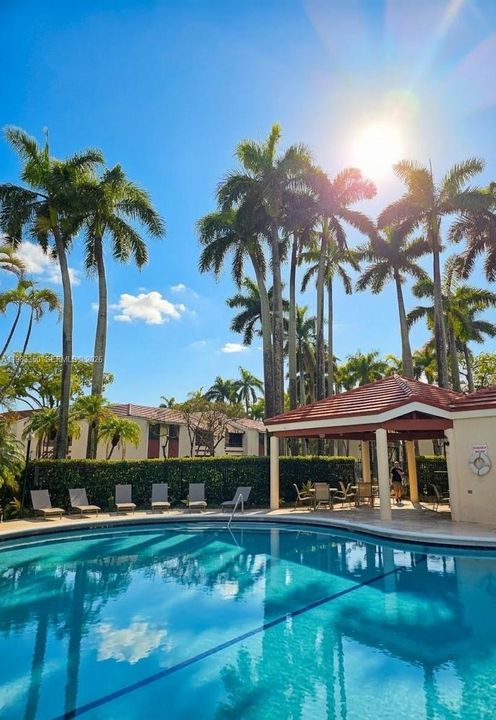 Под контрактом: $2,000 (2 спален, 2 ванн, 978 Квадратных фут)