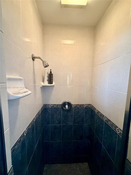 Guest Bathroom Shower