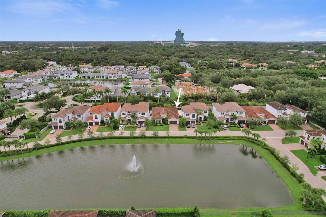 DJI_0431