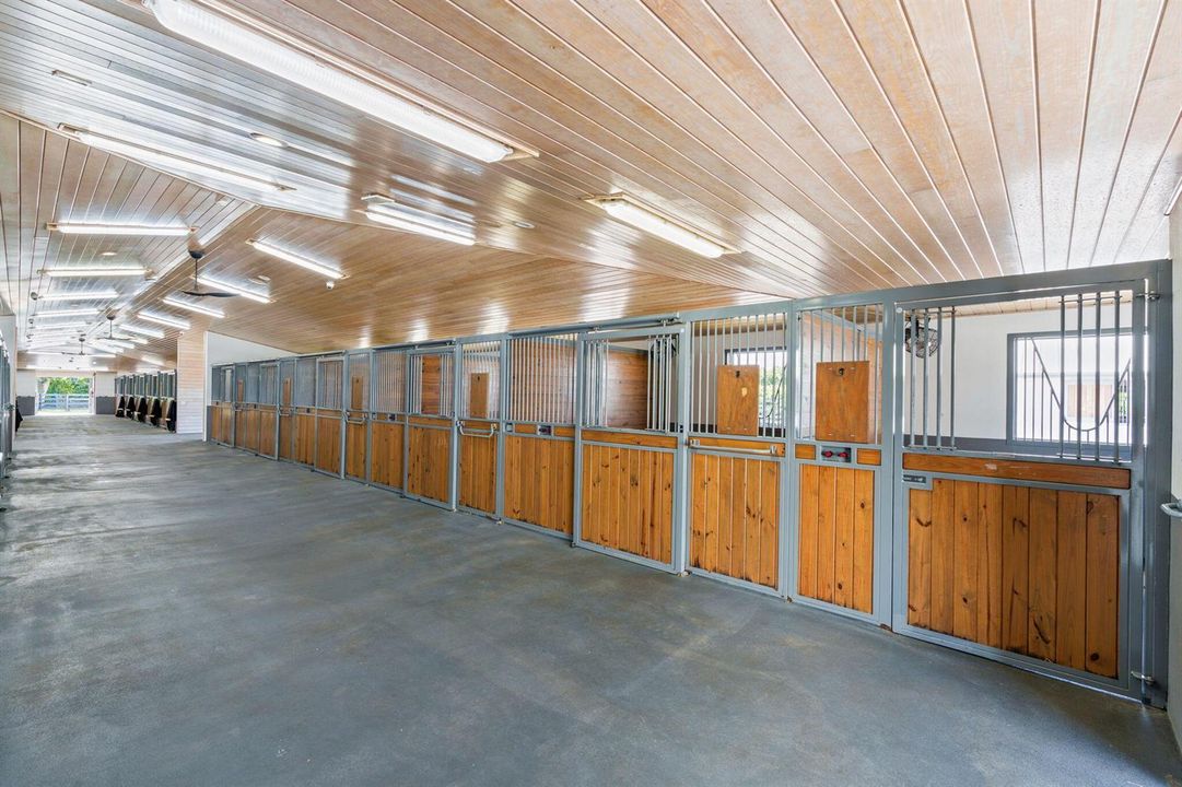 49-web-or-mls-A7408892