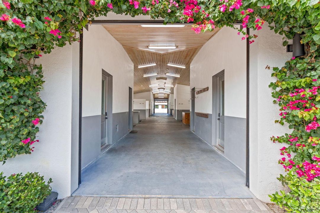 32-web-or-mls-A7408837