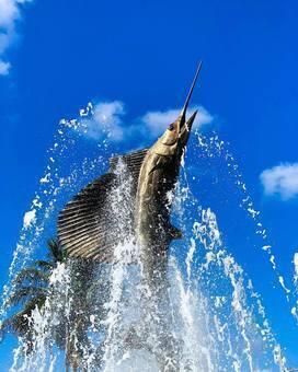 Sailfish Capital of the World