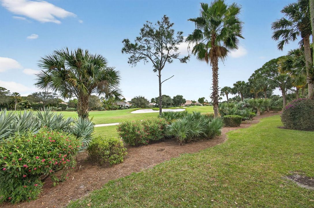 51-web-or-mls-5D1A6205