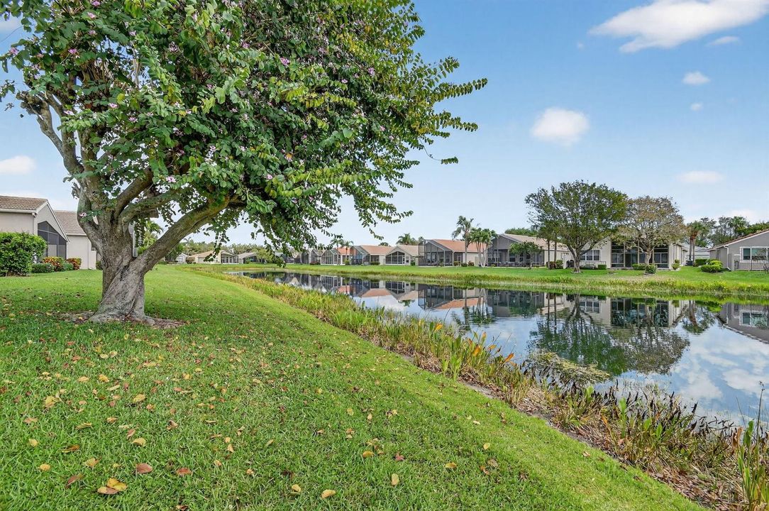 LAKE VIEW