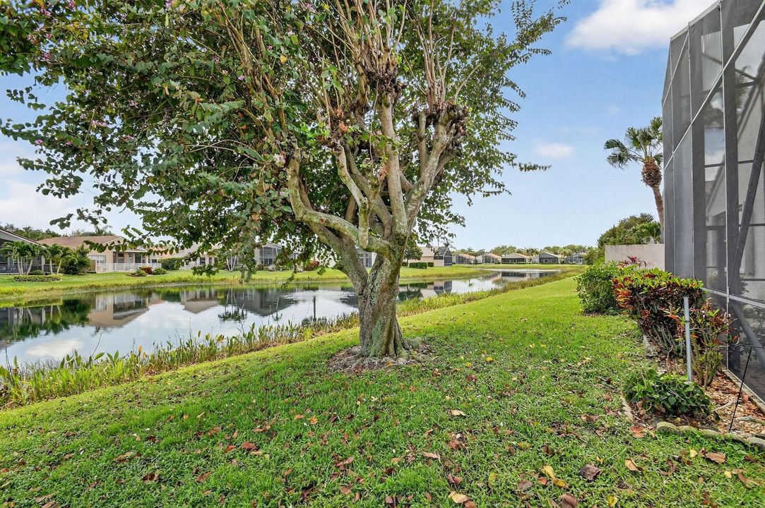 WATERVIEW YARD