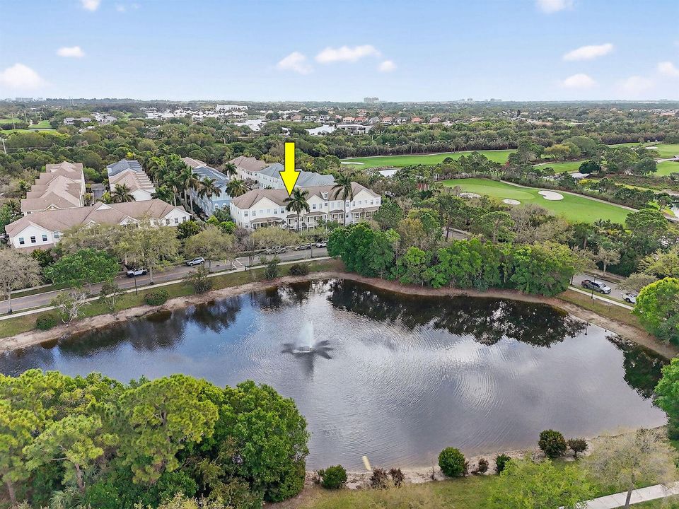 355EThatchPalmCir#103Aerials23a