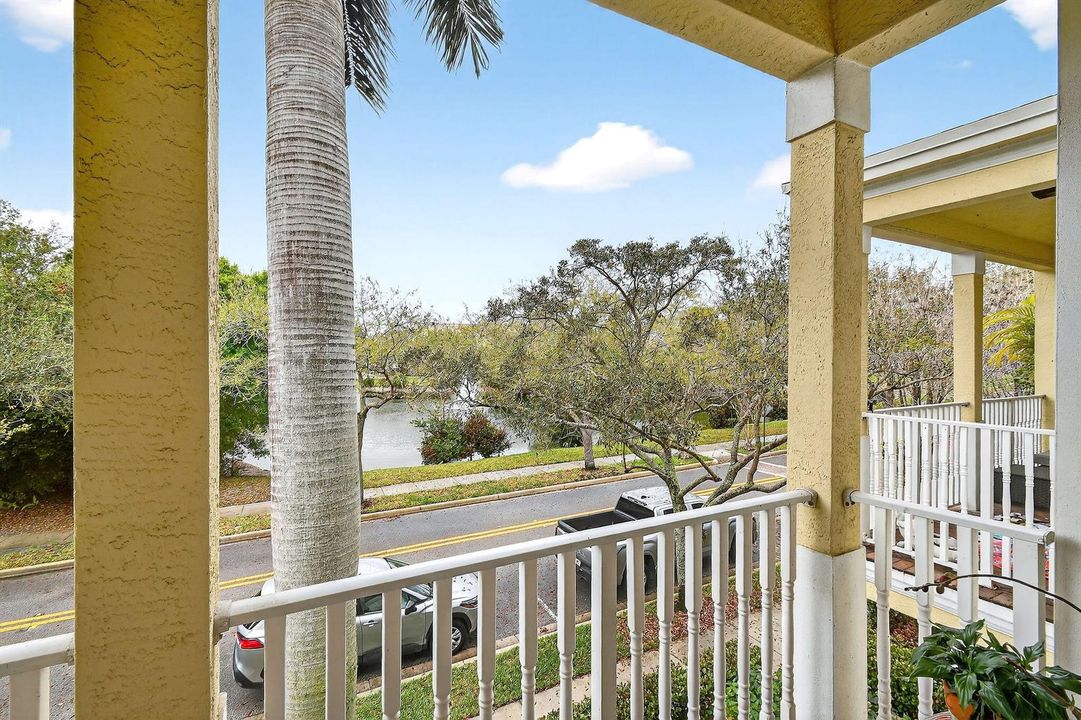 355EThatchPalmCir#103(64)