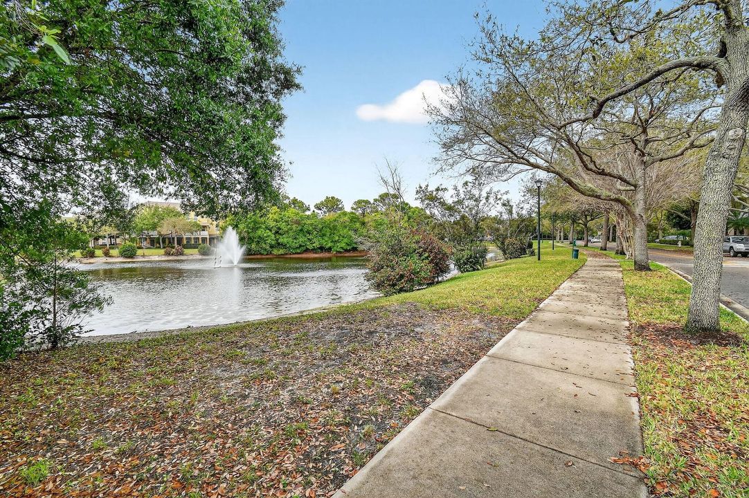 355EThatchPalmCir#103(67)