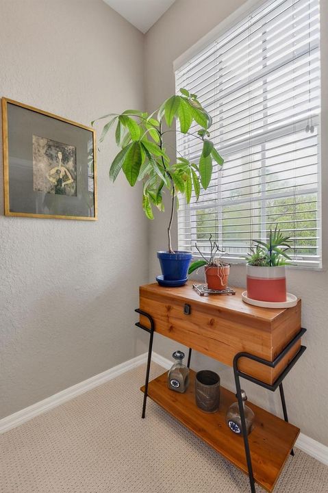 355EThatchPalmCir#103(20)