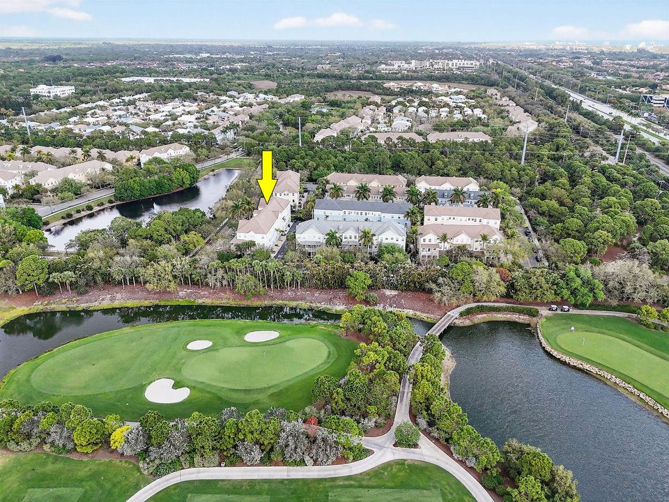 355EThatchPalmCir#103Aerials17a