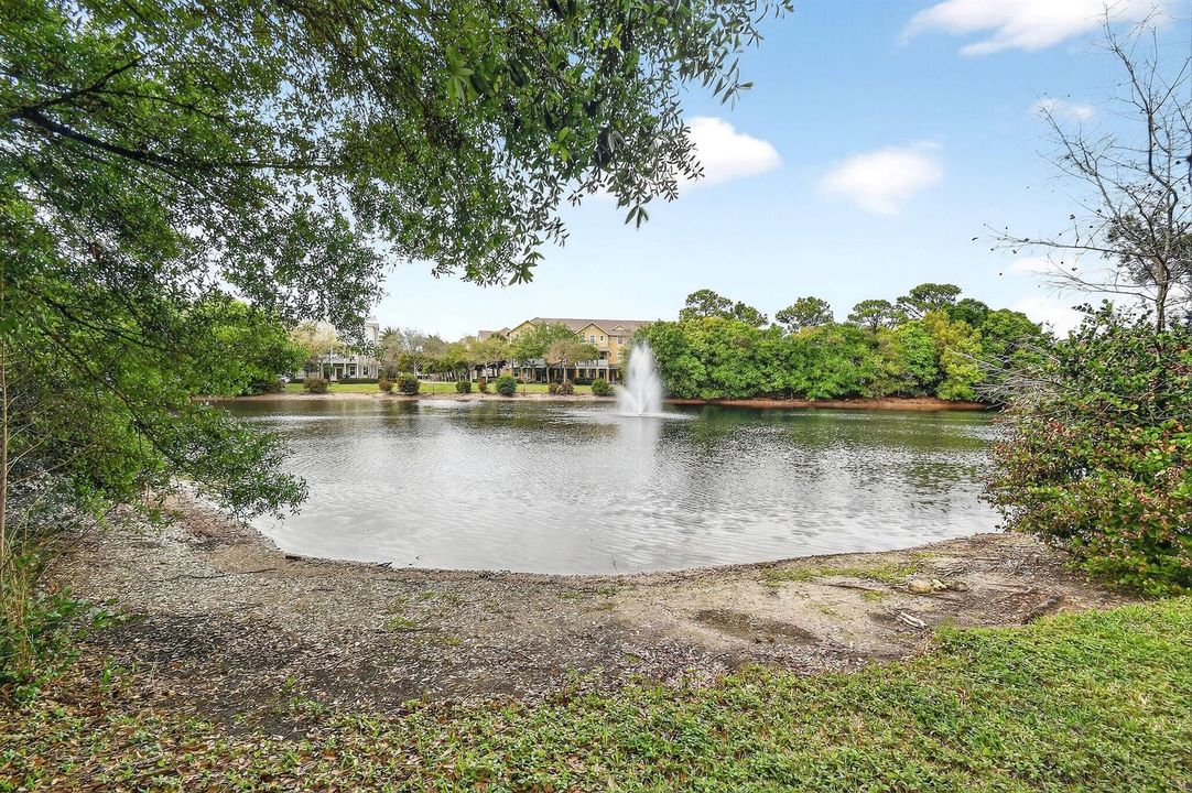 355EThatchPalmCir#103(66)