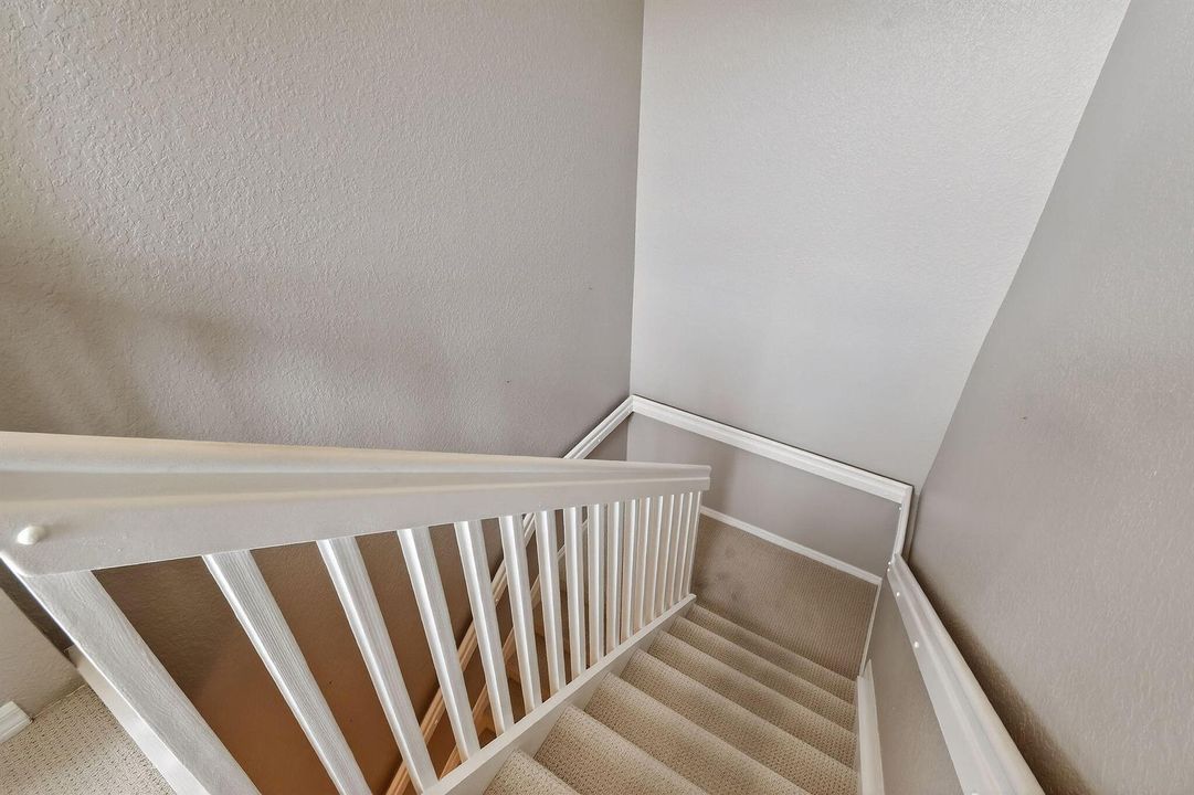 355EThatchPalmCir#103(18)