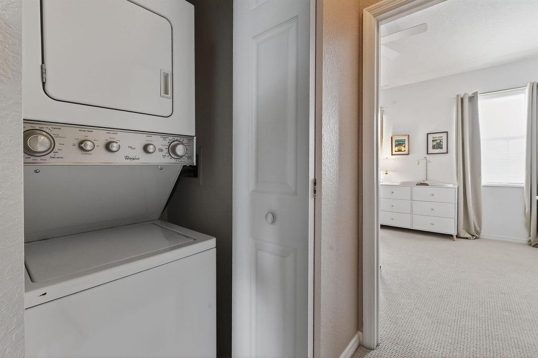 355EThatchPalmCir#103(52)