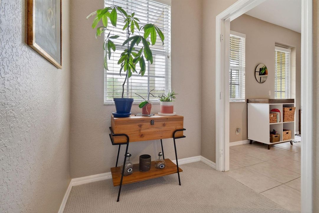355EThatchPalmCir#103(19)