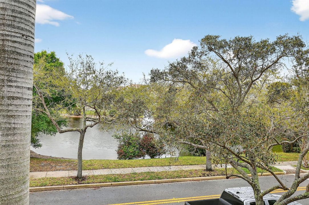 355EThatchPalmCir#103(65)
