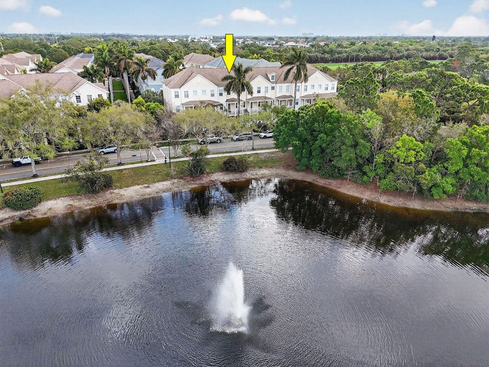 355EThatchPalmCir#103Aerials24a