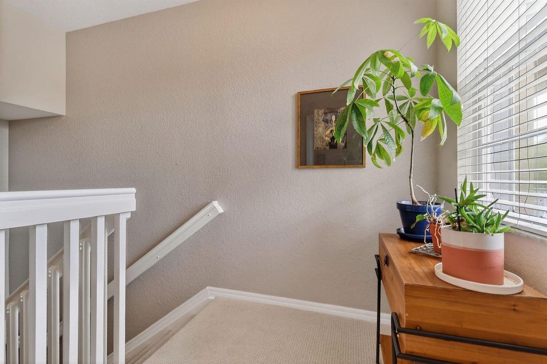 355EThatchPalmCir#103(21)