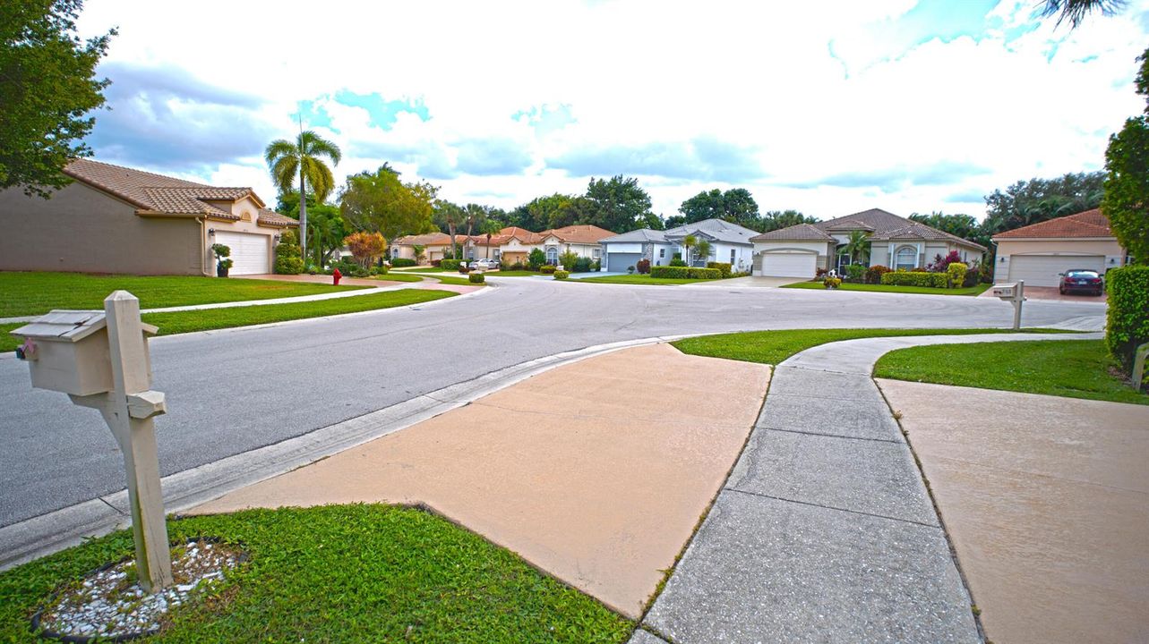 street scene