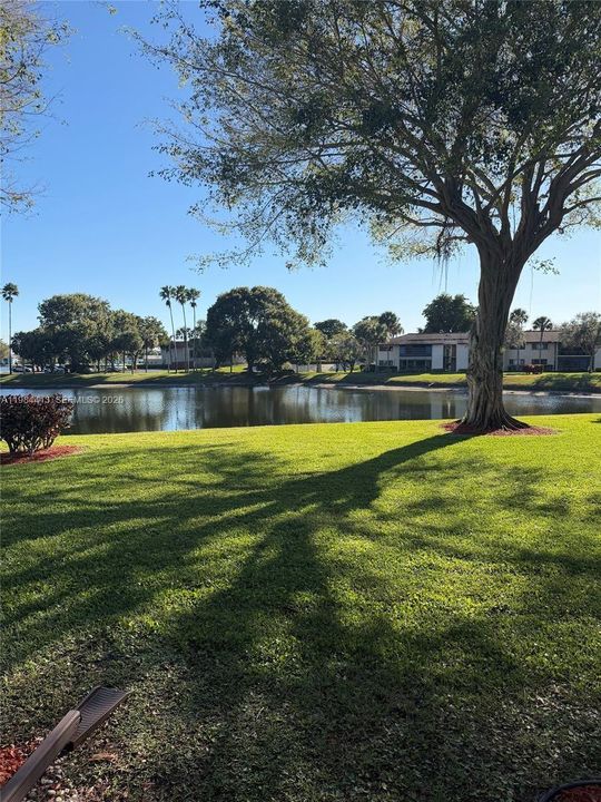 Peaceful building water view
