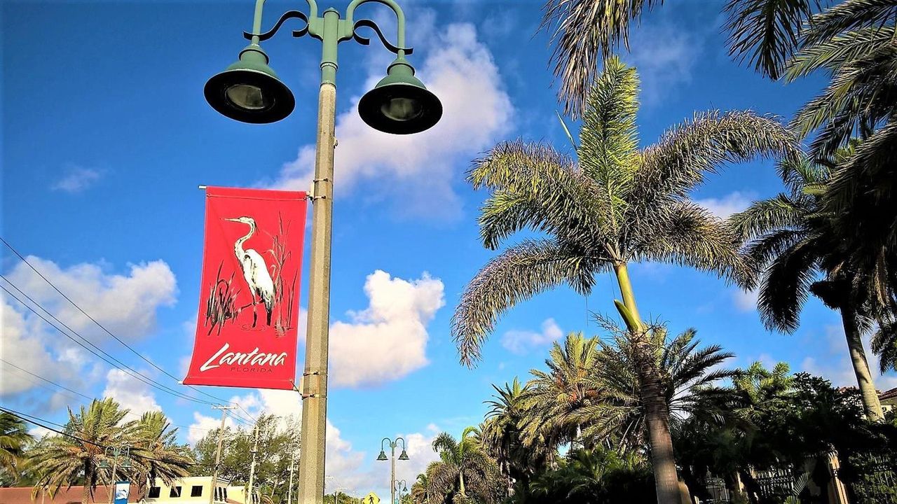 lantana banner