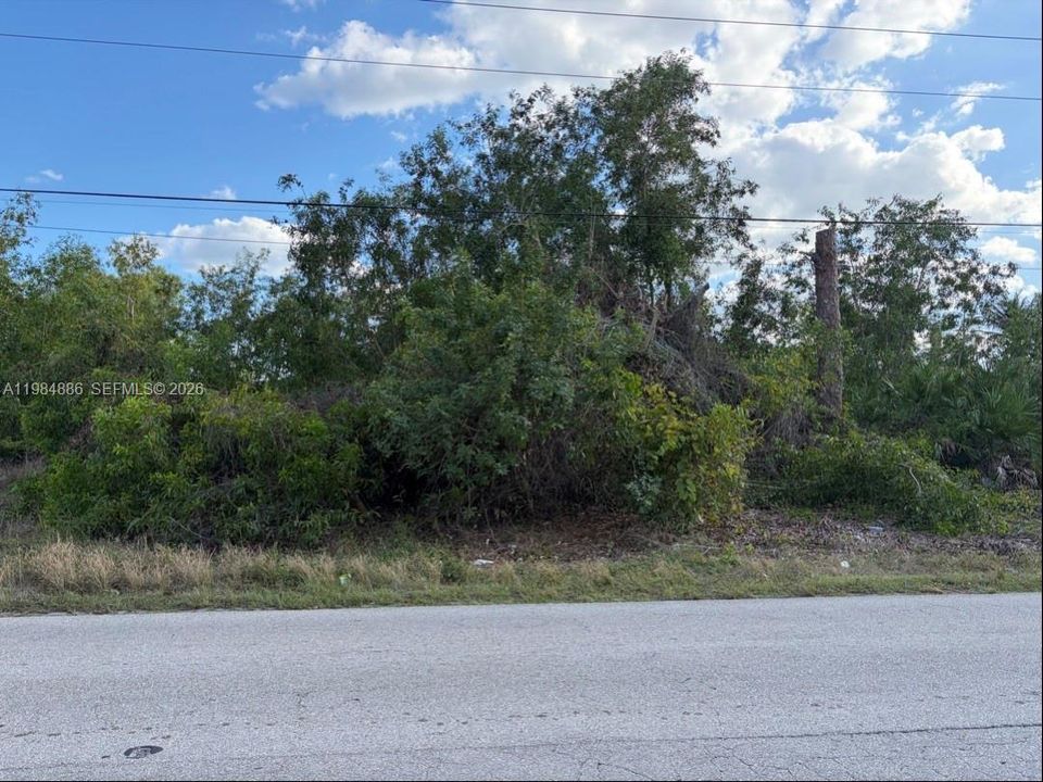 На продажу: $38,000 (0.23 acres)