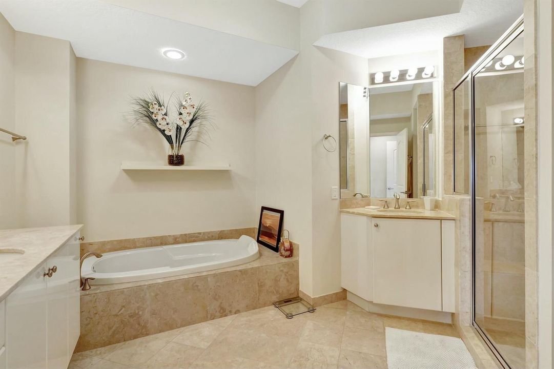 Expansive Primary Bath