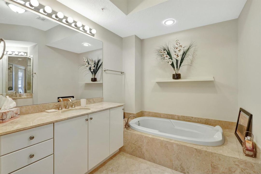 Primary Marble Bath