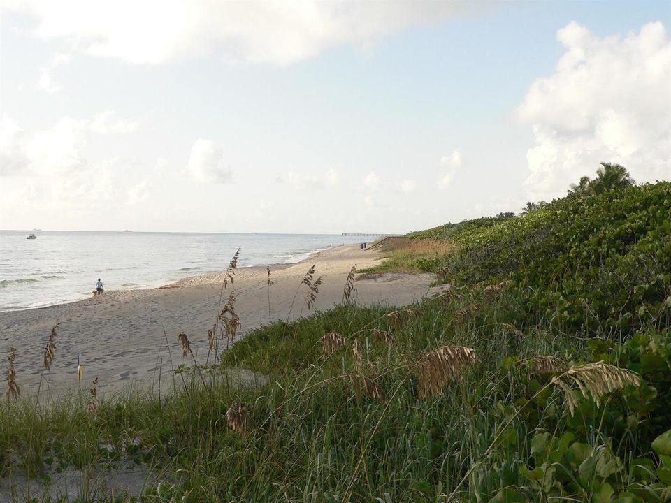 Jupiter Beach