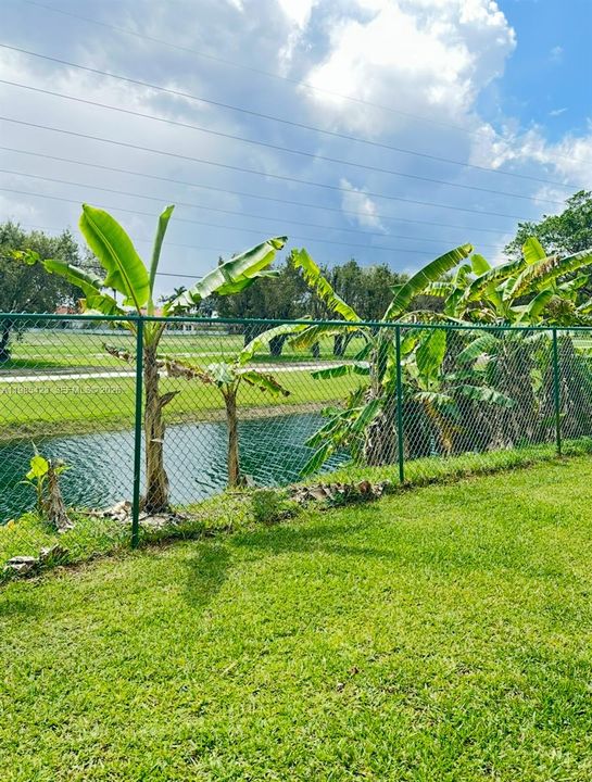 Canal and Golf course