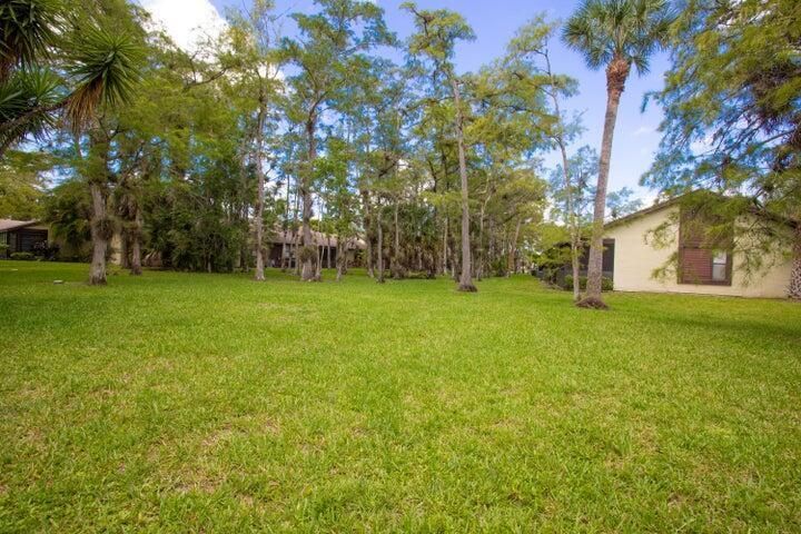huge back yard