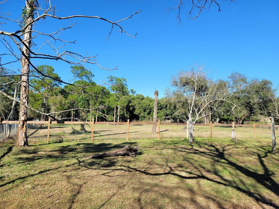VIEW FROM BACK PORCH