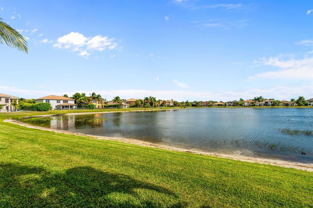 69-web-or-mls-A7403397