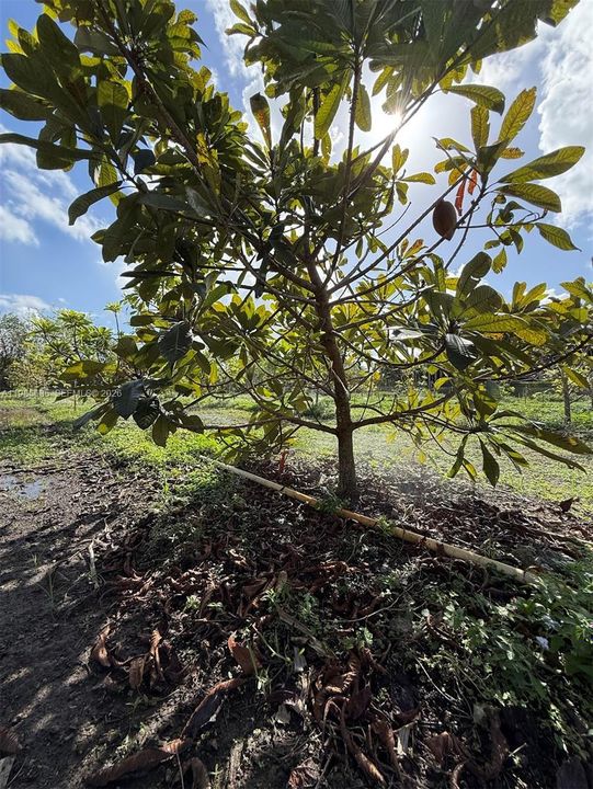 En Venta: $320,000 (0 camas, 0 baños, 0 Pies cuadrados)