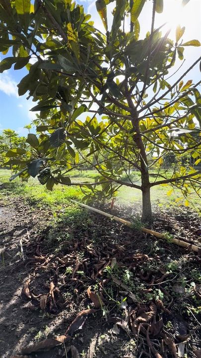 En Venta: $320,000 (0 camas, 0 baños, 0 Pies cuadrados)