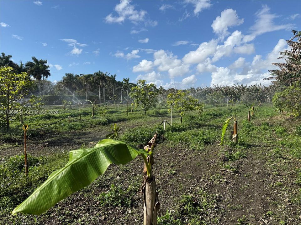 En Venta: $320,000 (0 camas, 0 baños, 0 Pies cuadrados)