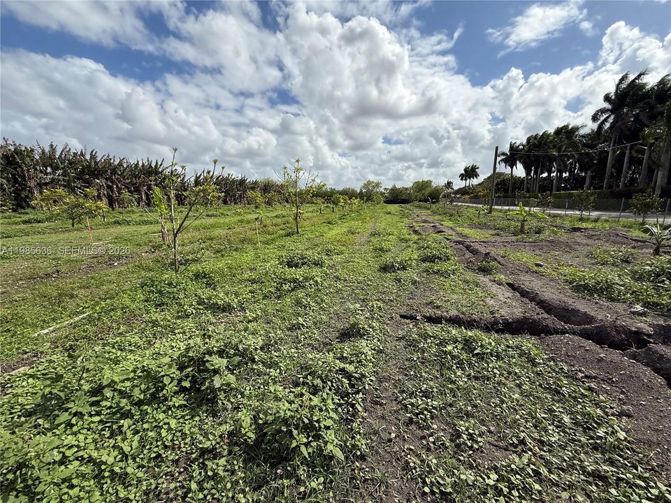 En Venta: $320,000 (0 camas, 0 baños, 0 Pies cuadrados)