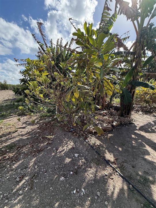 En Venta: $320,000 (0 camas, 0 baños, 0 Pies cuadrados)