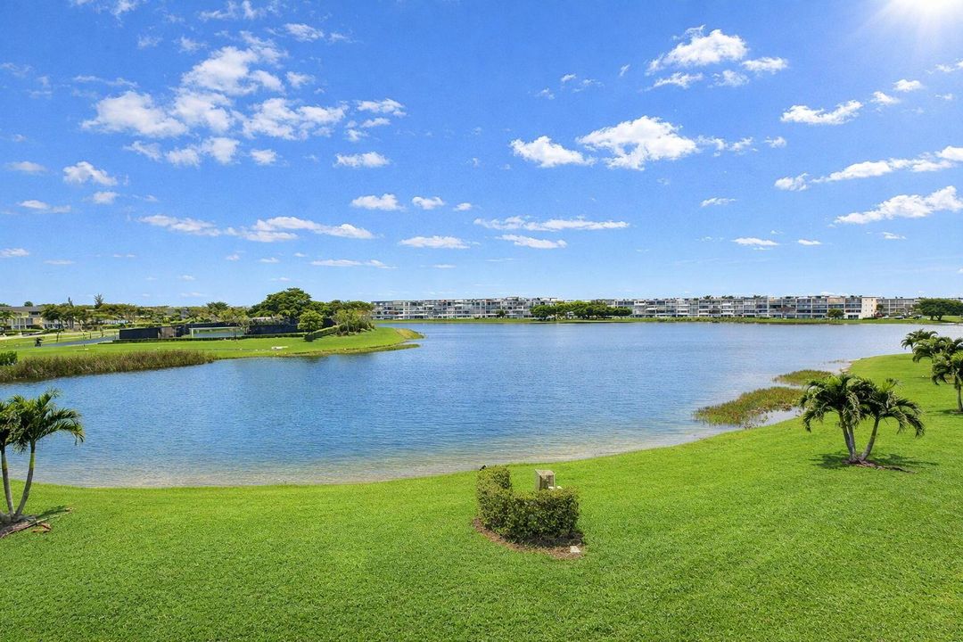 25-web-or-mls-view
