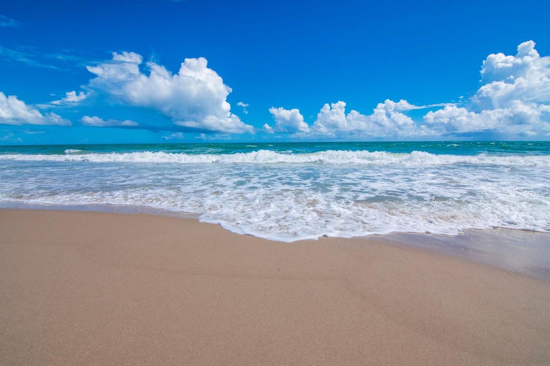 Beautiful beach