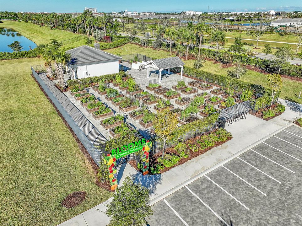 Community garden