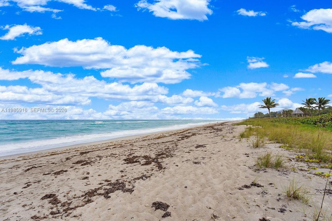 Beach behind condo