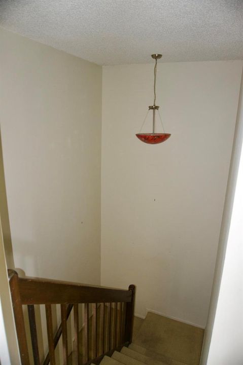 DSC04818 3