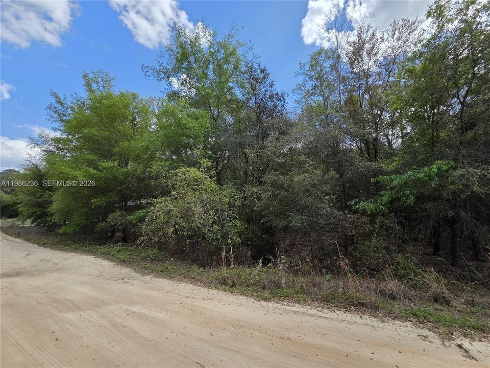 For Sale: $39,900 (0 beds, 0 baths, 0 Square Feet)