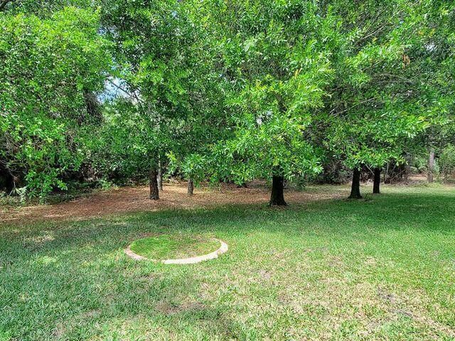 View of the Back Yard