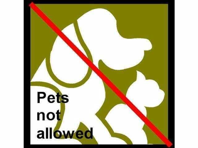 No pets allowed