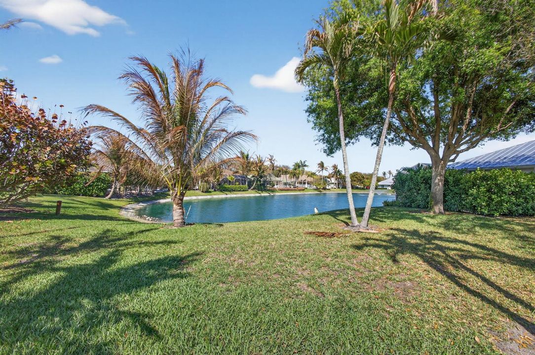 Pond