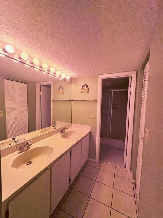 Double Sinks in Master Bathroom