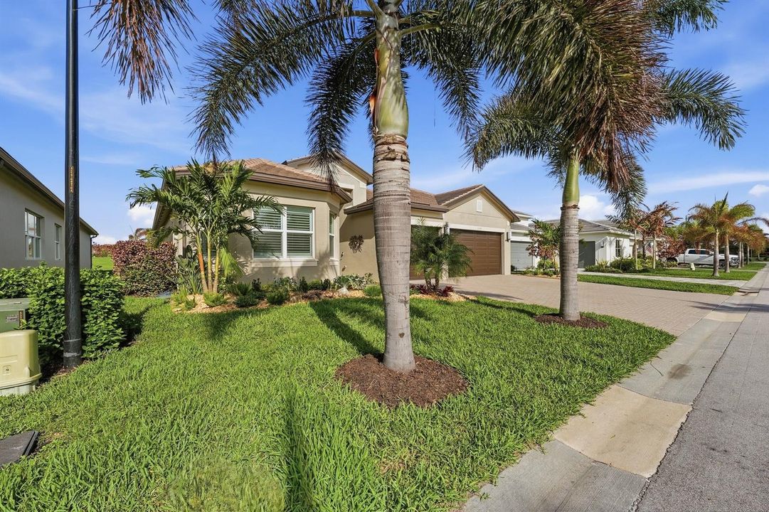 Beautiful upgraded landscaping