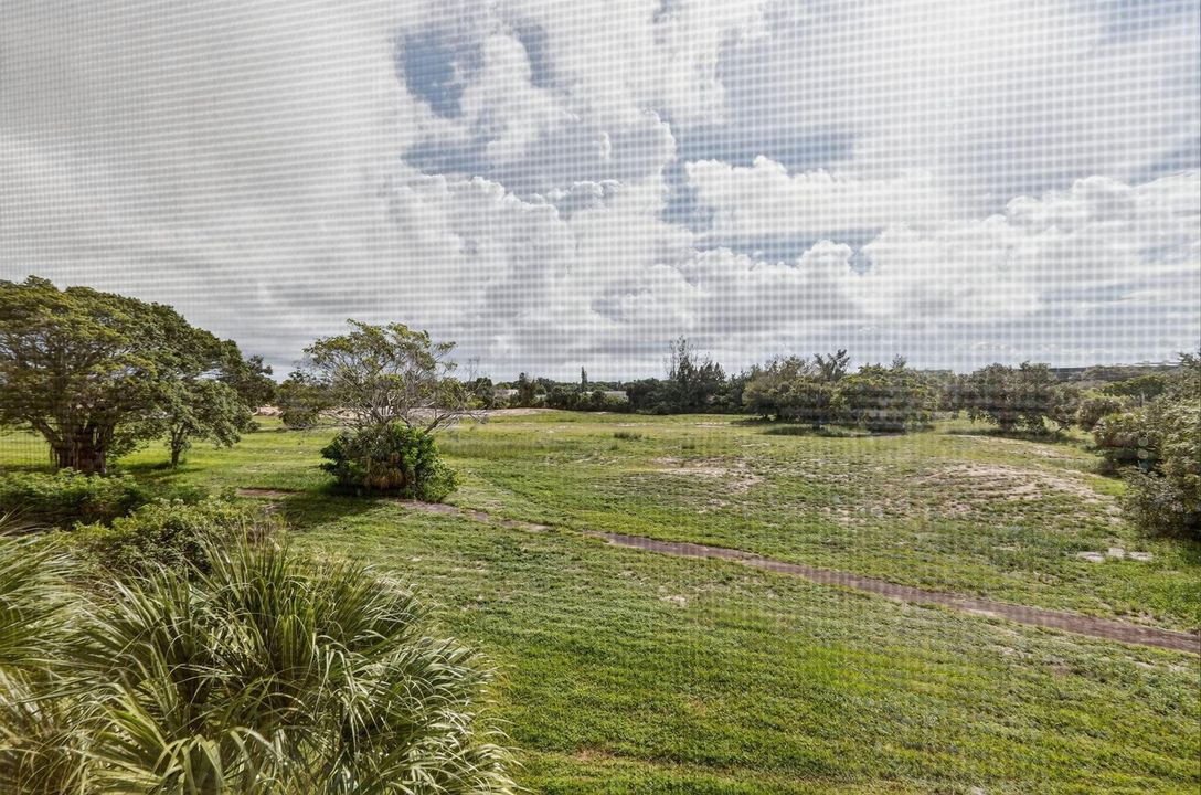 View from Balcony